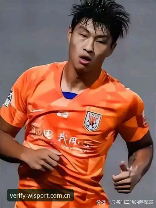 足协禁足名单曝光与维基体育平台观赛体验全面对比：谁在操纵中国足球的公平竞赛？